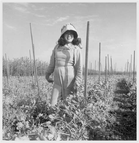 Dorothea Lange The Internment Of Japanese American Citizens American Suburb X