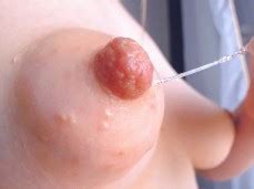Puffy Nipples Porn Pornhub