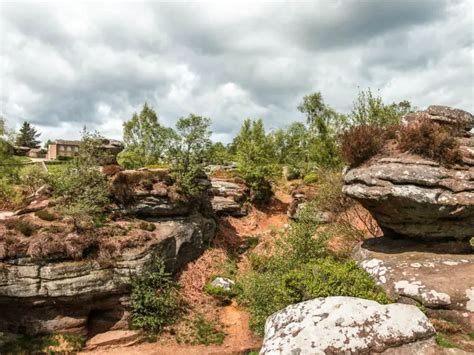 Walk Brimham Rocks and Moor: Ultimate guide - She walks in England