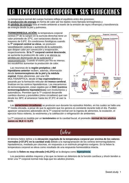 La Temperatura Corporal Y Sus Variaciones Sweet Study UDocz