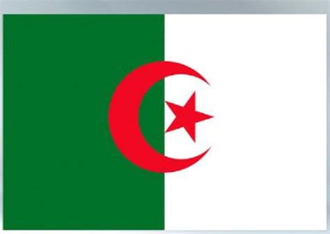 France Returns Skulls Of Algerian Independence Fighters Cgtn Africa