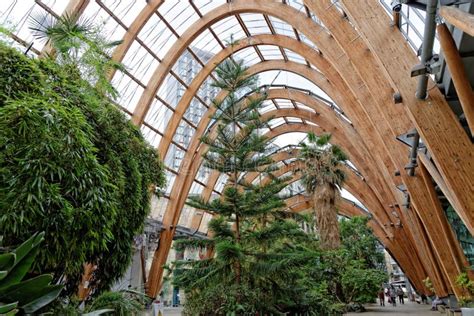 Jardines De Invierno En El Centro De La Ciudad De Sheffield Reino