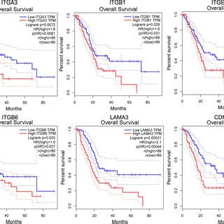 Gene Expression Profiling Interactive Analysis Gepia Of Itga And