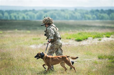 Where Are British Army Dog Handlers Based