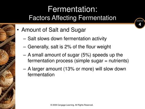 Unleashing The Magic The Role Of Fermentation In Baking Bread Del