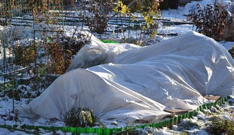 Зимние укрытия - зачем, как и чем? Фото — Ботаничка