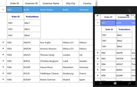 Styles And Templates In Uwp Datagrid Control Syncfusion