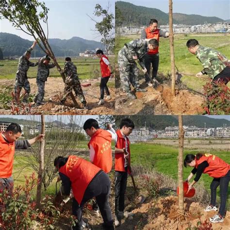 房道镇：义务植树，再添新绿 要闻 建瓯新闻网