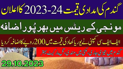 New Munji Wheat Till Makki Rates Dhan 1509 Ka Rate Galla Mandi Rate