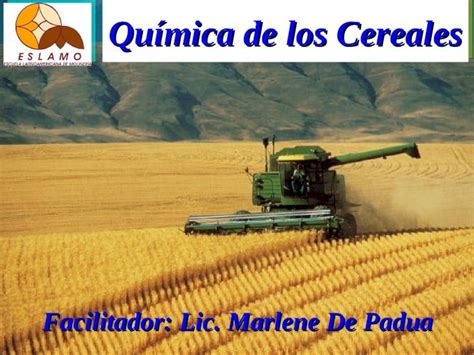 PPT 2008 I PARTE Qu Mica De Los Cereales DOKUMEN TIPS