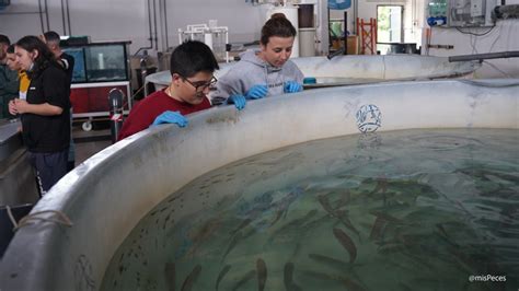 Jornada de puertas abiertas en el área de acuicultura del CIFP Zaporito