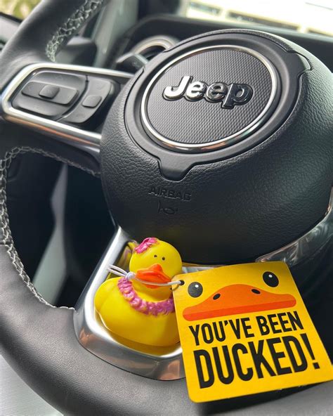 ‘jeep Ducking Takes Off Rubber Birds Left On Vehicles Baffle The