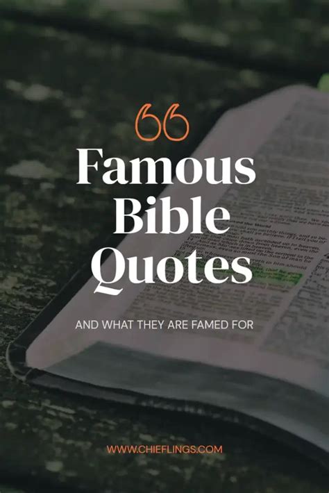 37 Popular Bible Verses And What They Are Famous For