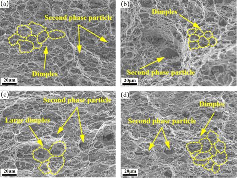 Tensile Fracture Morphology Of Each Sample A Untreated Sample B Lsp