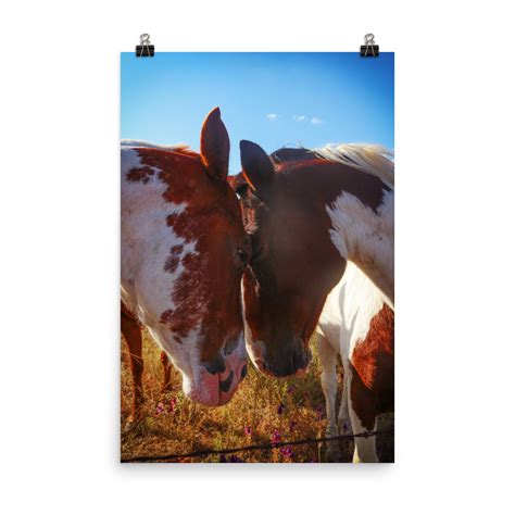 Paint Horses Nuzzle Photograph - Nature Art Decor & More