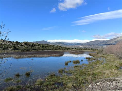 Eurofins Cimera Y Cavendish Estudian La Ecología Acuática