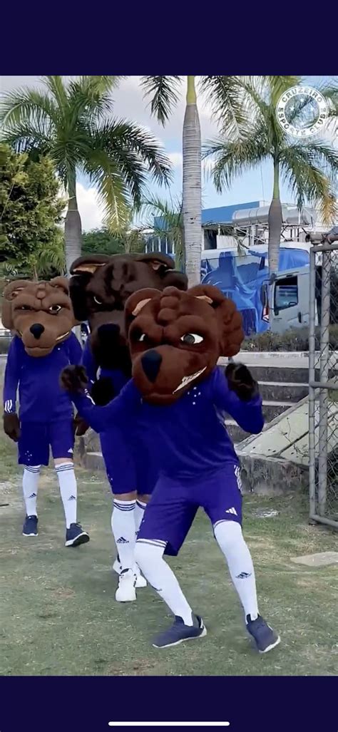 Planeta do Futebol on Twitter Raposão mascote oficial do