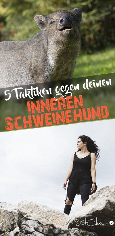 Um seinen Inneren Schweinehund überwinden zu können muss man sich