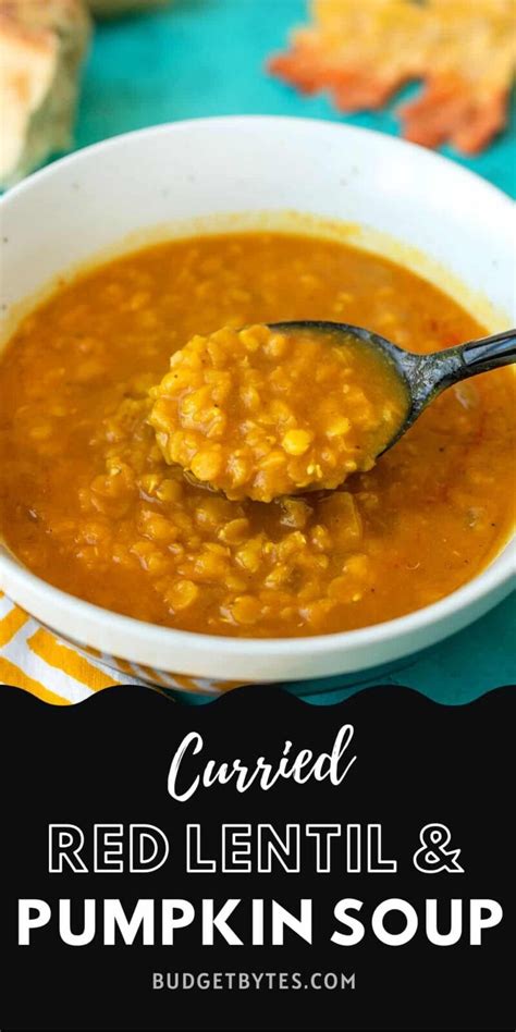 Curried Red Lentil And Pumpkin Soup Budget Bytes