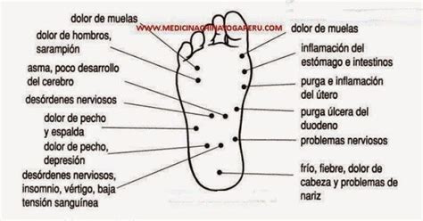 106 Best Reflexologia Acupresión Digitopuntura Masajes Images On Pinterest Massage