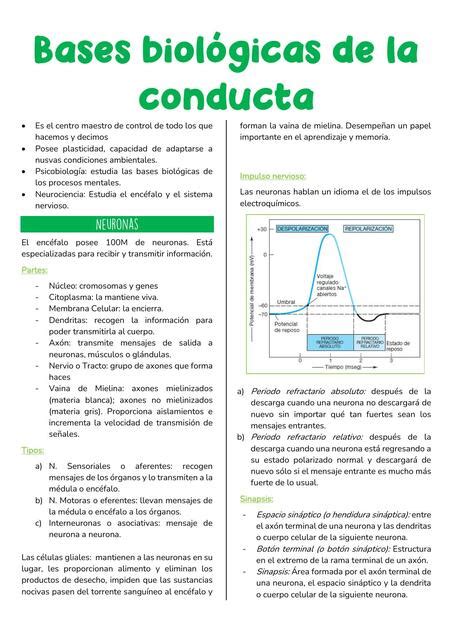 Bases Biológicas de la Conducta Luisa Silva uDocz