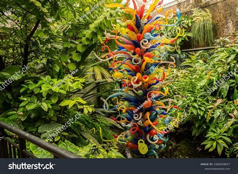 Fairchild Tropical Stock Photos - 481 Images | Shutterstock