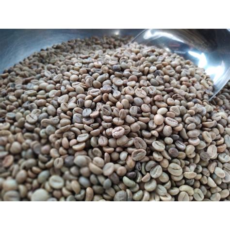 Jual Biji Kopi Luwak Green Bean Gayo Arabica Coffee 1kg Shopee Indonesia