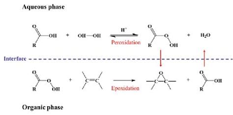 Schematic Illustration Of The Epoxidation Of Sbo Download Scientific