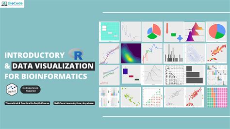 Building A Data Visualization Tool For Protein Structure Analysis