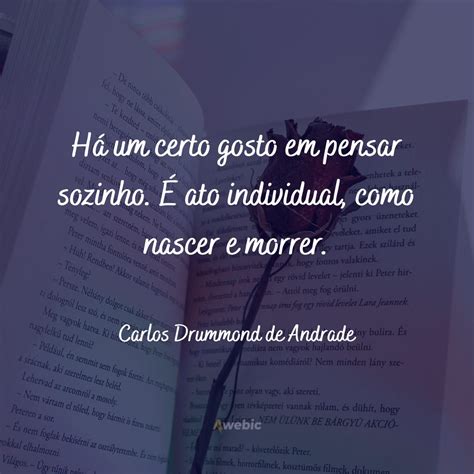 Frases Do Drummond Para Usar Como Legenda Em Suas Fotos A A