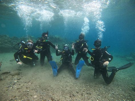 The Heart/Halev young women are now certified in Scuba Diving! - ELEM