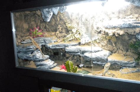 Como Hacer Un Terrario Casero Para Reptiles Y Pogonas Paso A Paso