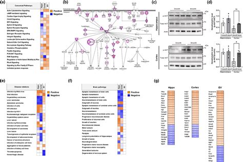 Multiproteomic Analyses Of Xfad Mice Reveal New Molecular Signatures