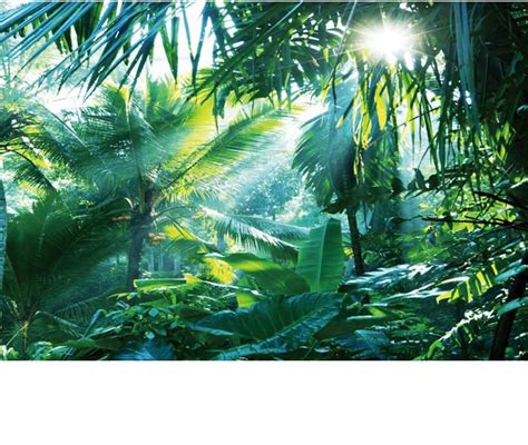 Amazon YongFoto 20x12ft Tropical Jungle Backdrop Rainforest Lush