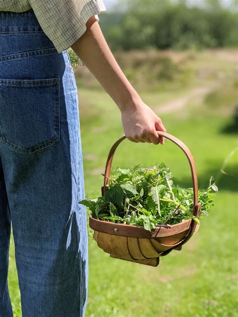 Foraging | Forage and Cook Experiences