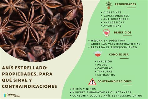 para qué sirve la infusión de anís Cristales Piedras y más