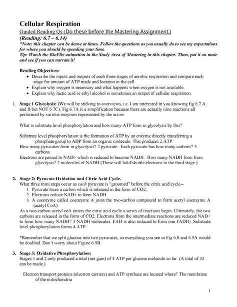 Lesson Grqs Cellular Respiration Cellular Respiration Guided