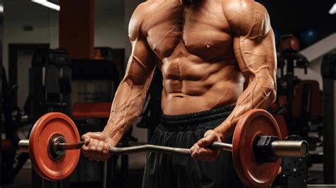 Best Pull Day Workouts For Back Traps And Biceps Trendradars