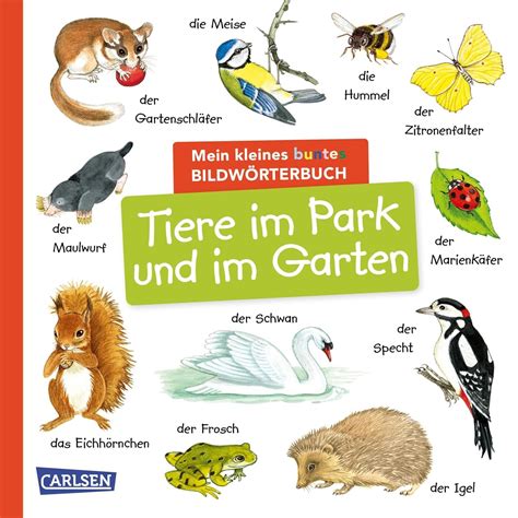 Mein Kleines Buntes Bildw Rterbuch Tiere Im Park Und Im Garten