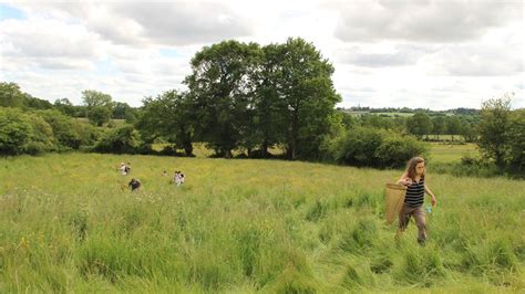 Le Bourgneuf la Forêt actualités et infos en direct sorties agenda