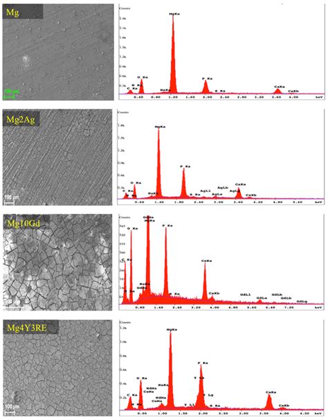 Sem Images And The Corresponding Edx Analysis Of Magnesium Alloys And Download Scientific