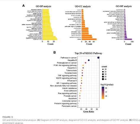 Figure From The Cardioprotective Effects And Mechanisms Of Naringenin