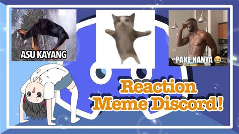 TASYACTION Dah Lama Ga MENGOCOK Perut React Meme Discord Ikzz