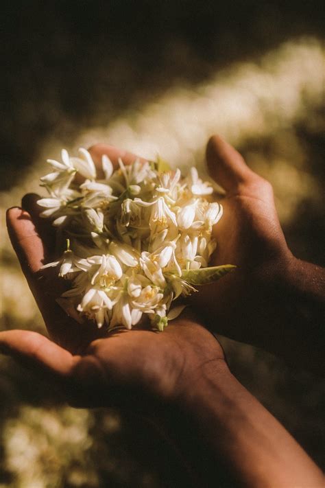 Chanel célèbre la fleur d oranger dans un jardin éphémère à Paris