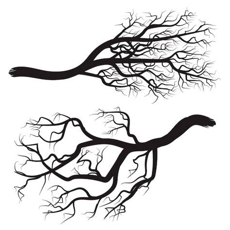 Premium Vector | Tree branch silhouette collection