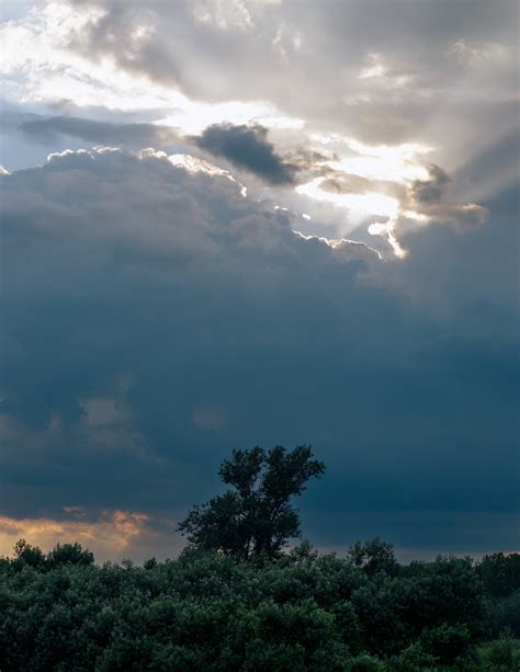 Free picture: Dark blue storm clouds with sunrays with trees