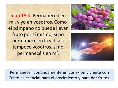 CRECIMIENTO EN CRISTO Texto Efesios 4 Ppt Video Online Descargar