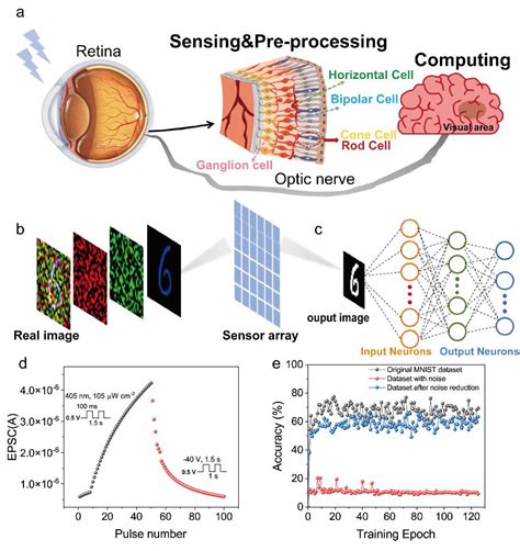 Advanced Materials报道黄维院士团队、凌海峰and解令海教授课题组在光调控可重构突触晶体管领域最新进展