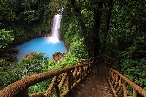 Rio Celeste Rainforest Trip And Sloth Sanctuary Loco Tours