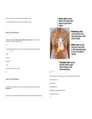 Understanding The Heart S Conduction System Sa Node Av Bundle